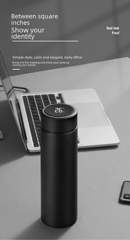 VionZone™️ LED Temperature Display Thermos Bottle