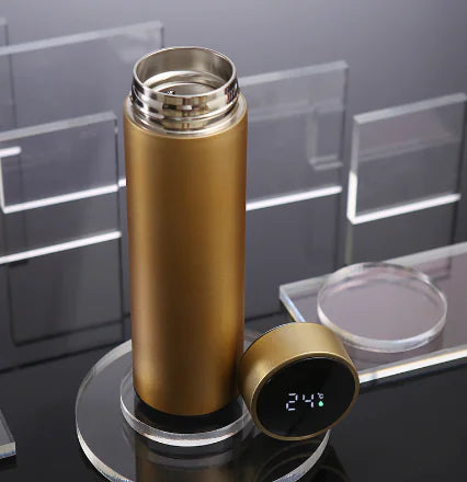 VionZone™️ LED Temperature Display Thermos Bottle
