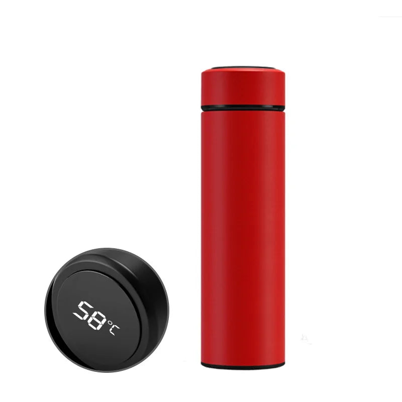VionZone™️ LED Temperature Display Thermos Bottle
