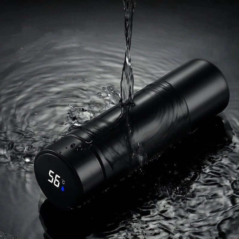 VionZone™️ LED Temperature Display Thermos Bottle