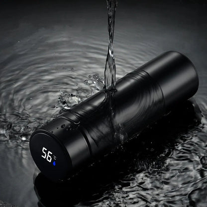 VionZone™️ LED Temperature Display Thermos Bottle