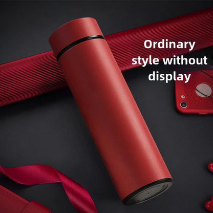 VionZone™️ LED Temperature Display Thermos Bottle