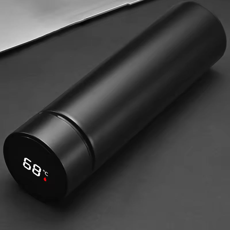 VionZone™️ LED Temperature Display Thermos Bottle