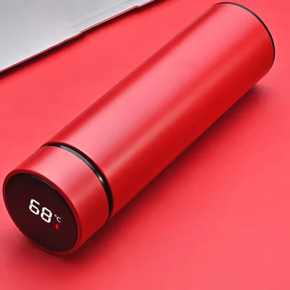 VionZone™️ LED Temperature Display Thermos Bottle
