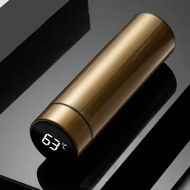 VionZone™️ LED Temperature Display Thermos Bottle