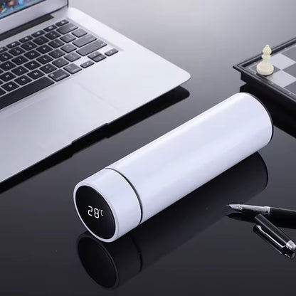 VionZone™️ LED Temperature Display Thermos Bottle