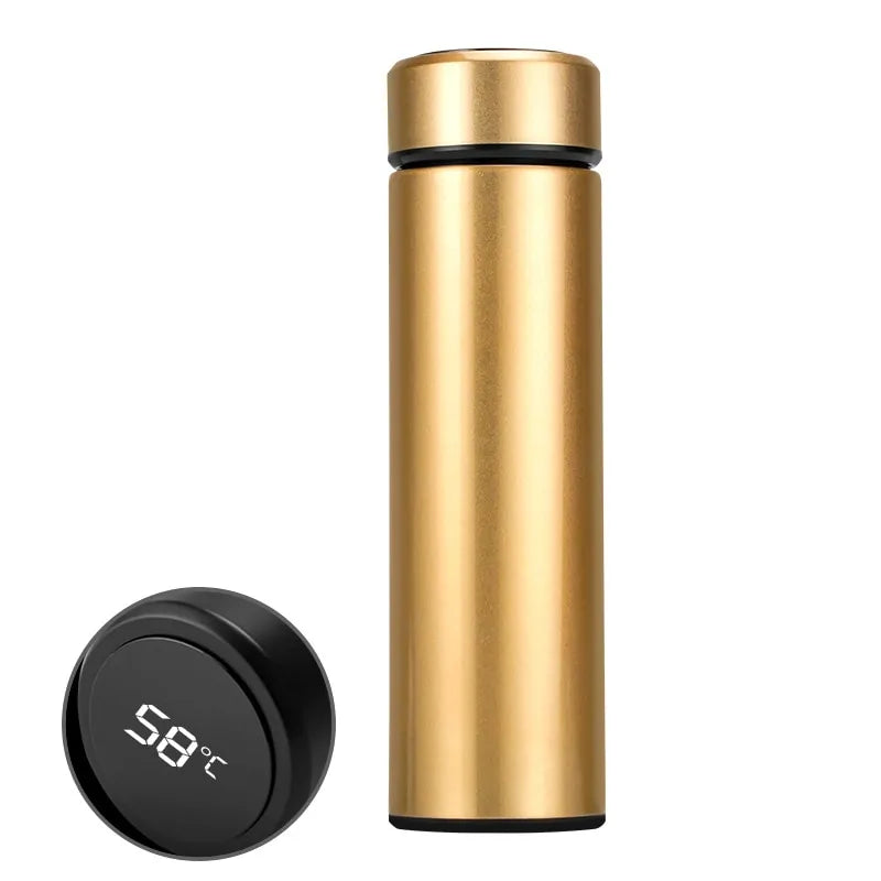 VionZone™️ LED Temperature Display Thermos Bottle